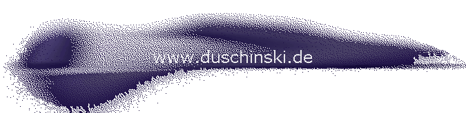 www.duschinski.de